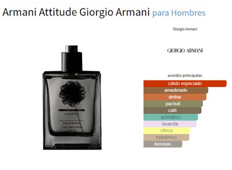 Top Giorgio Armani Competitors & Simil